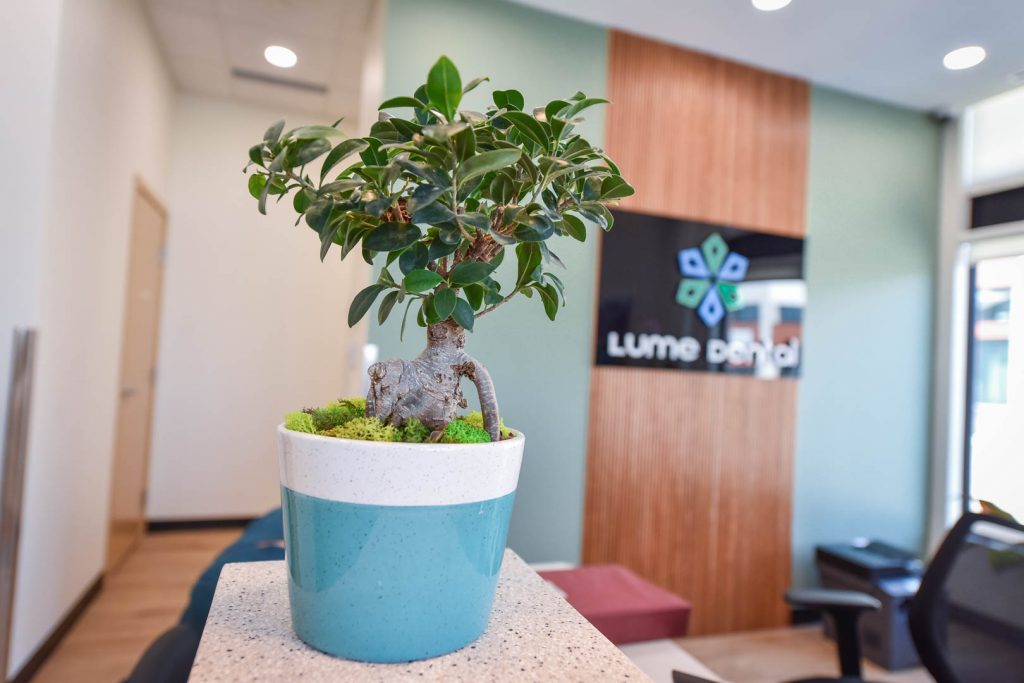 Reception Area | Lume Dental | General & Family Dentist | Red Deer